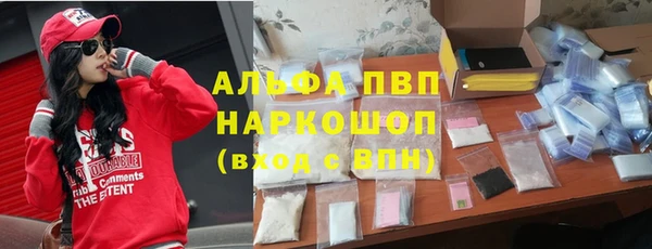 гашик Алексеевка