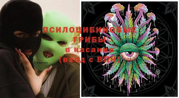 винт Алзамай