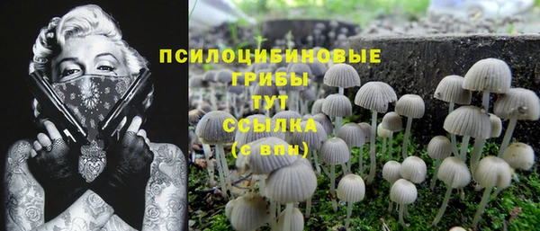 гашик Алексеевка