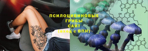 винт Алзамай