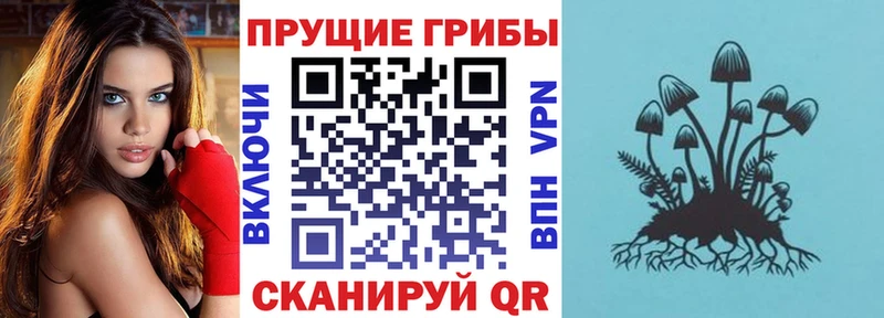 Галлюциногенные грибы Magic Shrooms  Железногорск-Илимский 